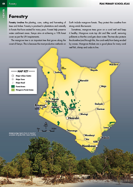 Kenya Forestry Photo Illustrated Map